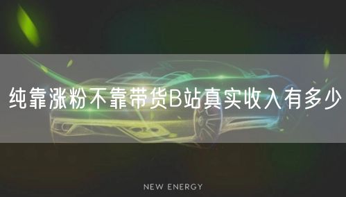 纯靠涨粉不靠带货B站真实收入有多少