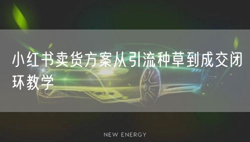小红书卖货方案从引流种草到成交闭环教学
