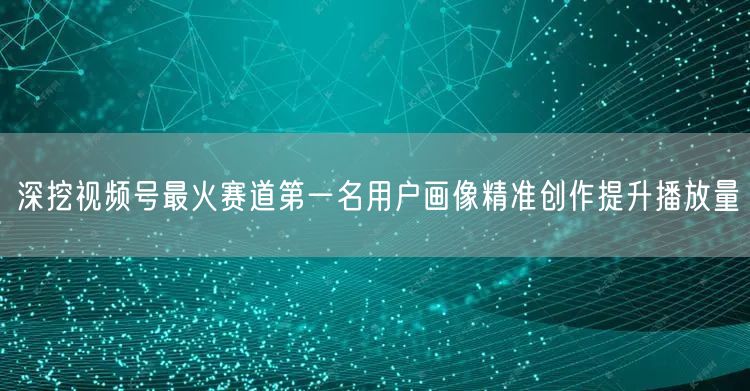 深挖视频号最火赛道第一名用户画像精准创作提升播放量