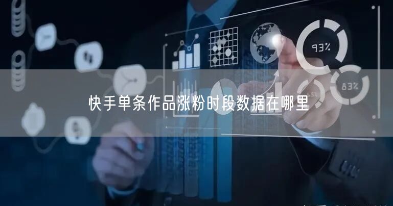 快手单条作品涨粉时段数据在哪里