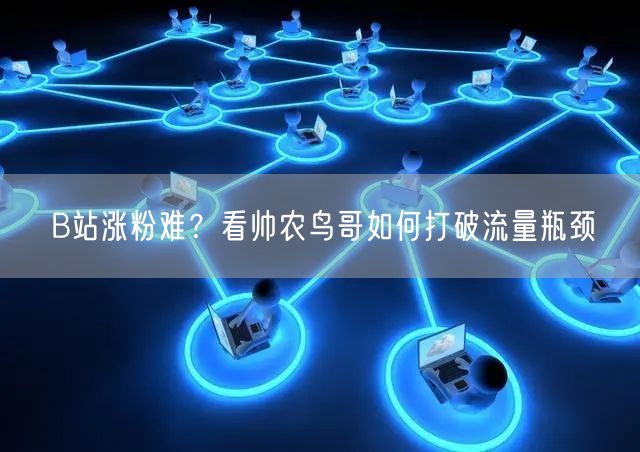B站涨粉难？看帅农鸟哥如何打破流量瓶颈
