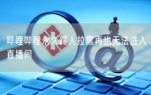 哔哩哔哩永久踢人拉黑再也无法进入直播间