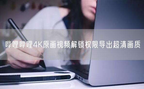 哔哩哔哩4K原画视频解锁权限导出超清画质