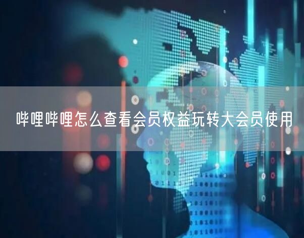 哔哩哔哩怎么查看会员权益玩转大会员使用