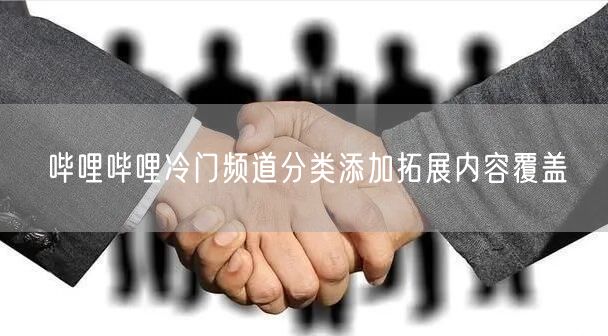 哔哩哔哩冷门频道分类添加拓展内容覆盖