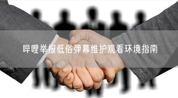 哔哩举报低俗弹幕维护观看环境指南