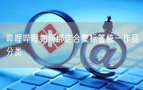 哔哩哔哩如何绑定合集标签统一作品分类