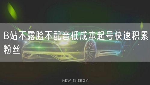B站不露脸不配音低成本起号快速积累粉丝