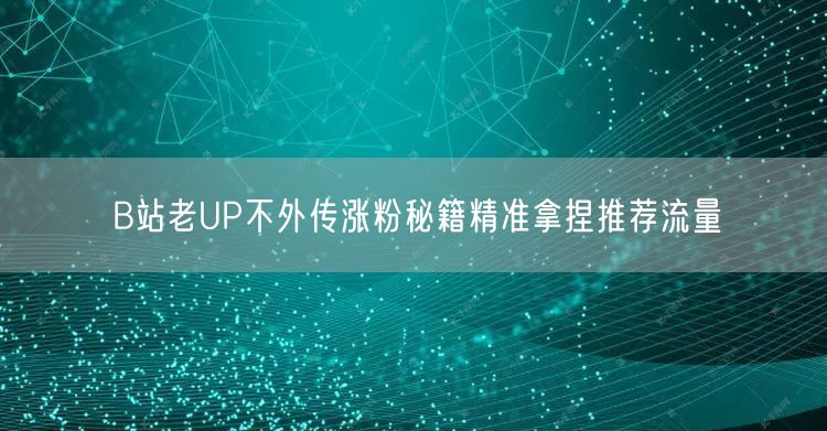 B站老UP不外传涨粉秘籍精准拿捏推荐流量