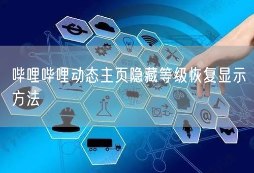 哔哩哔哩动态主页隐藏等级恢复显示方法