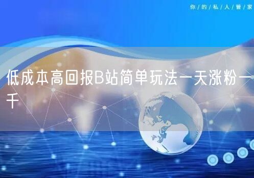 低成本高回报B站简单玩法一天涨粉一千