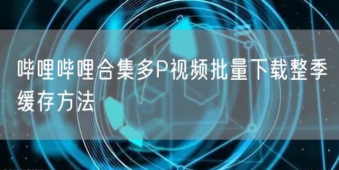 哔哩哔哩合集多P视频批量下载整季缓存方法