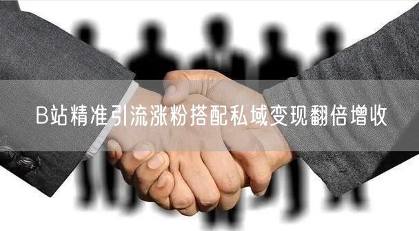 B站精准引流涨粉搭配私域变现翻倍增收